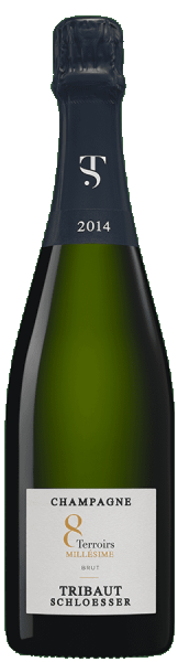 Tribaut Le Millsime Vintage Champagne